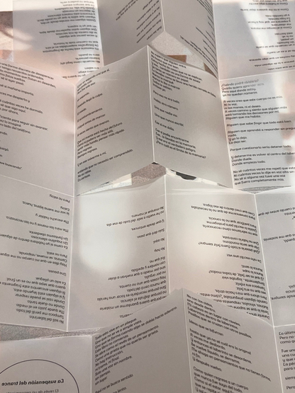 La Suspensión del Trance - Edición Fanzine