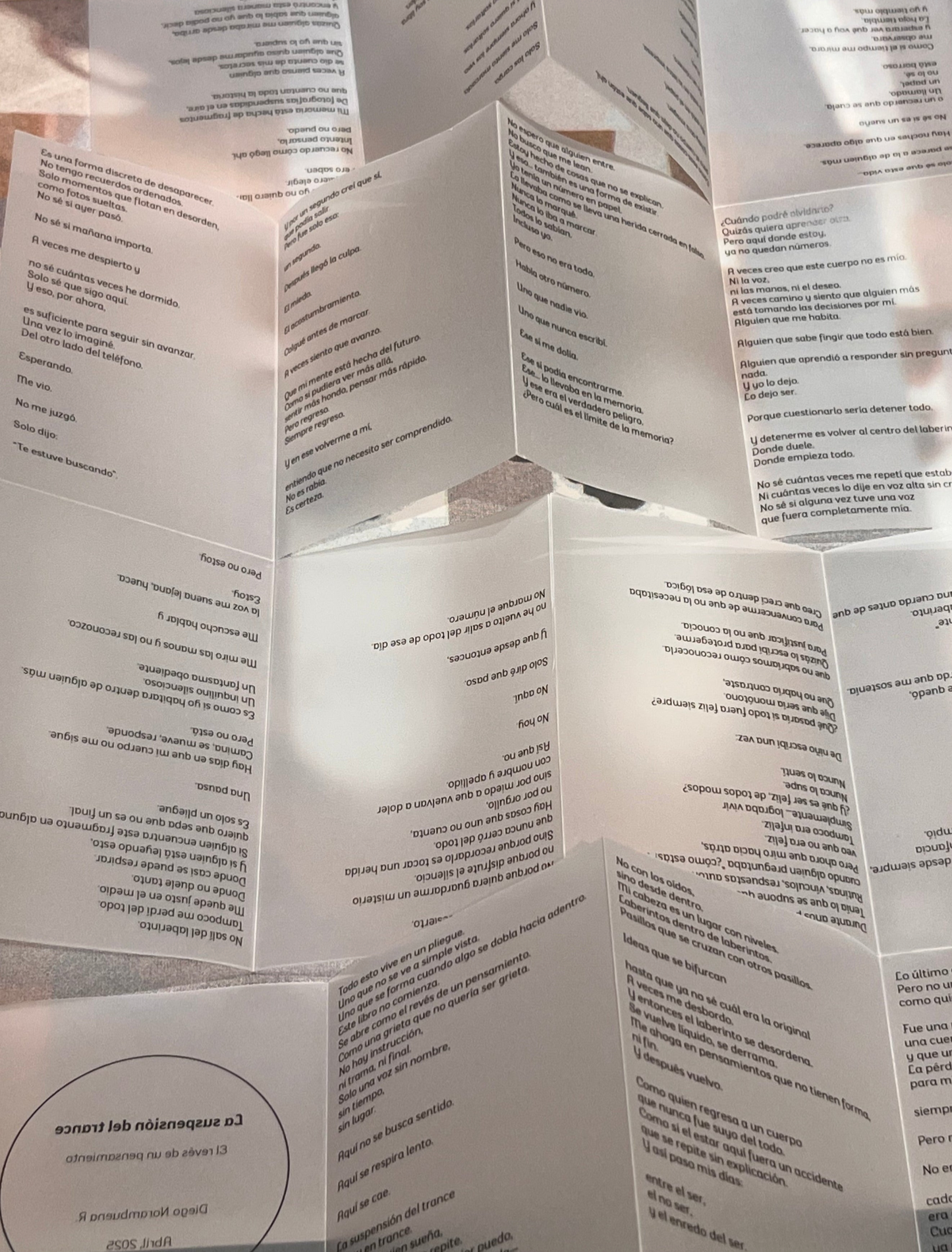 La Suspensión del Trance - Edición Fanzine