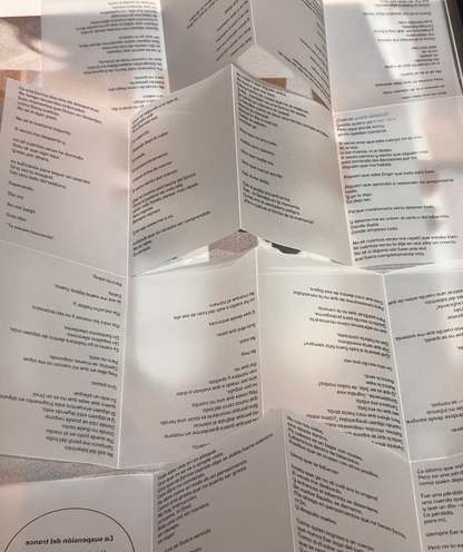 La Suspensión del Trance - Edición Fanzine